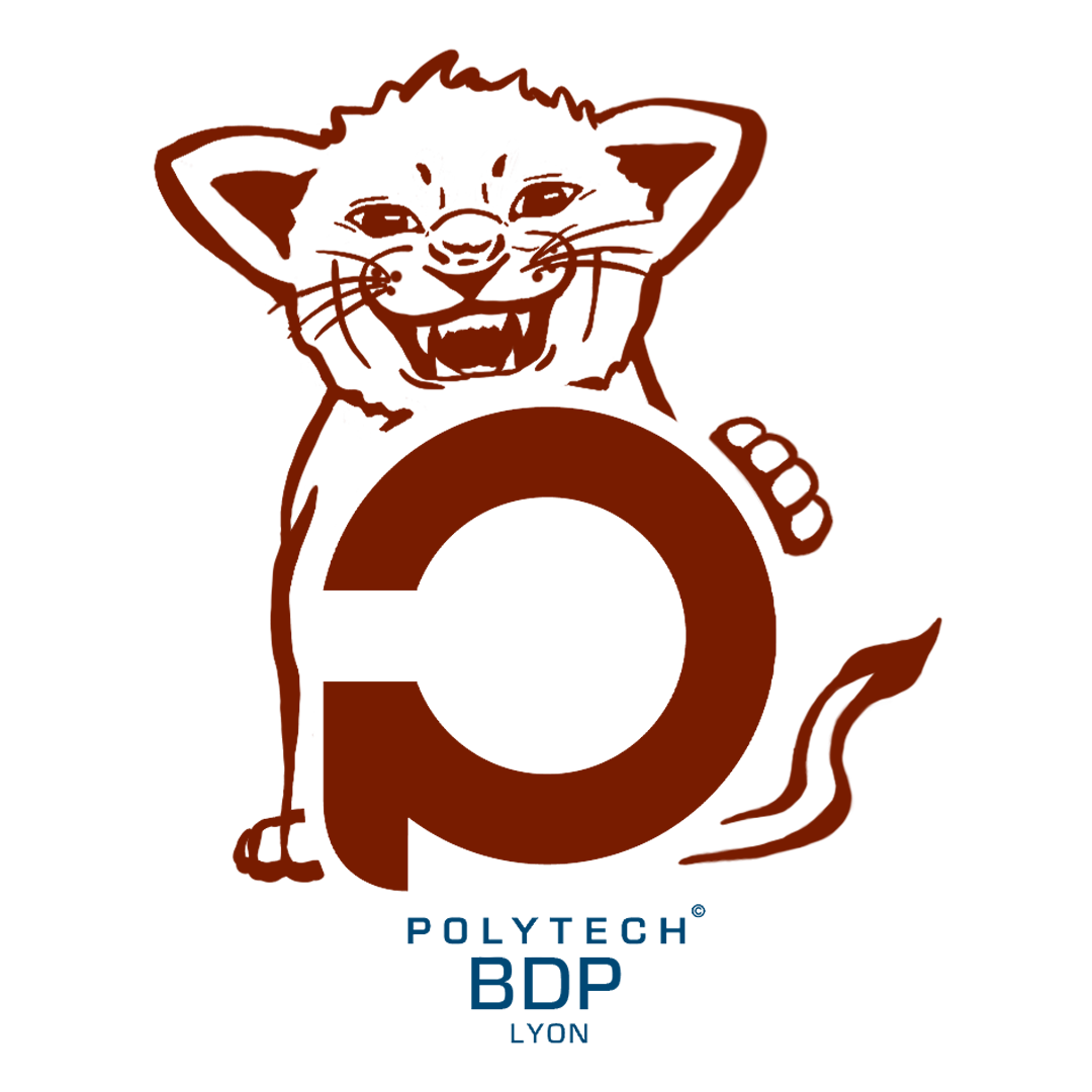 bdp_polytechlyon